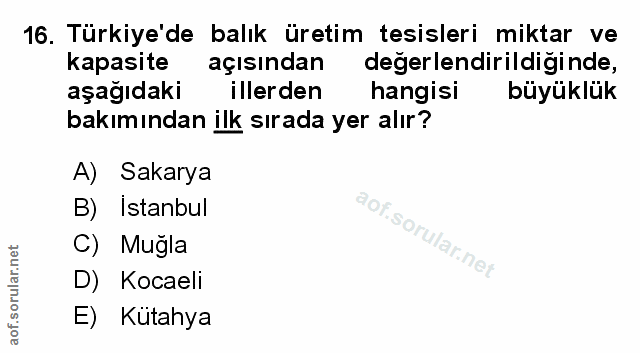 Soru 16