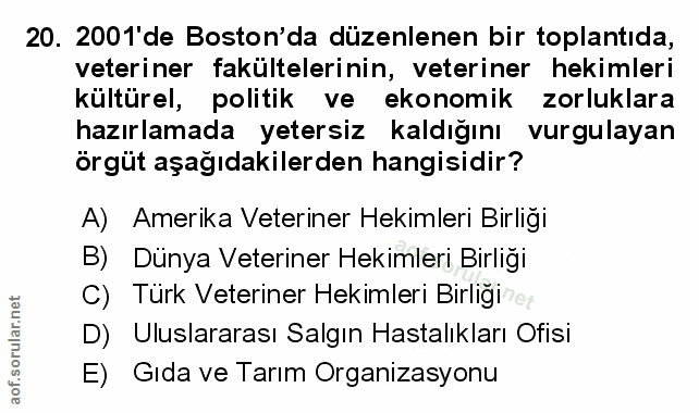 Soru 20