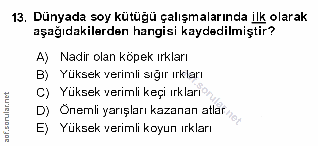 Soru 13