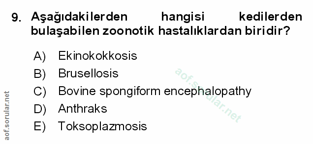 Soru 9