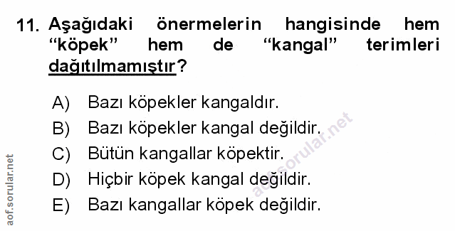 Soru 11