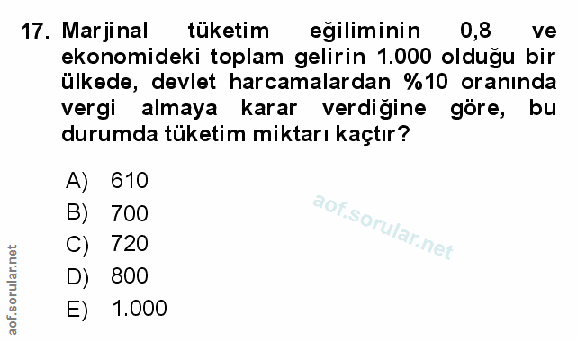 Soru 17