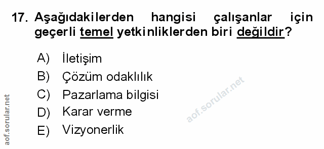 Soru 17