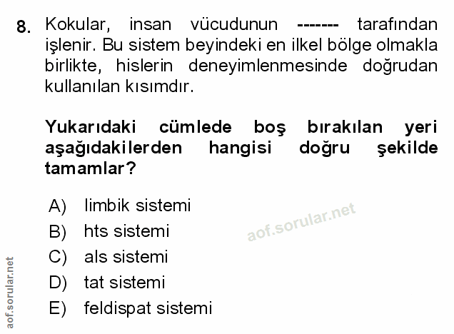 Soru 8
