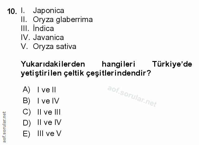 Soru 10