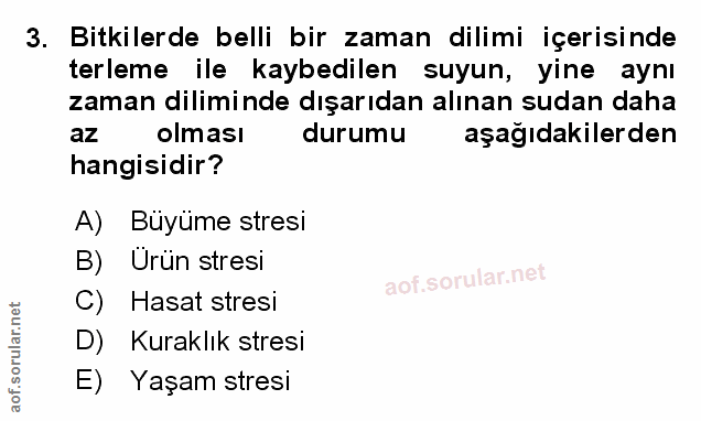 Soru 3