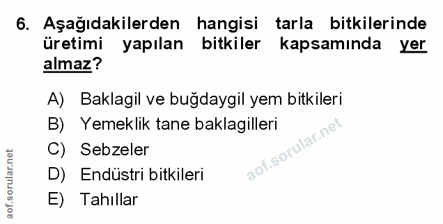 Soru 6