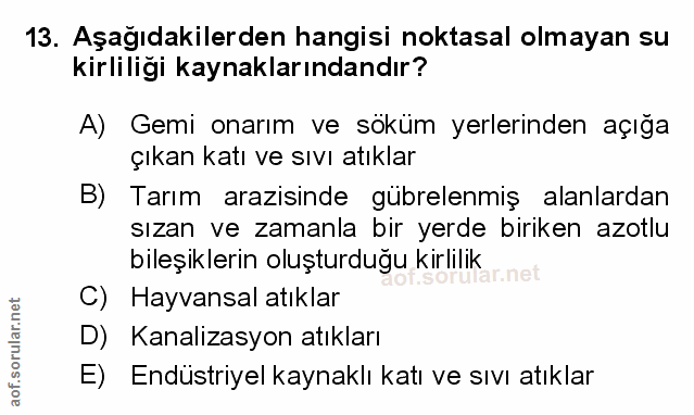 Soru 13
