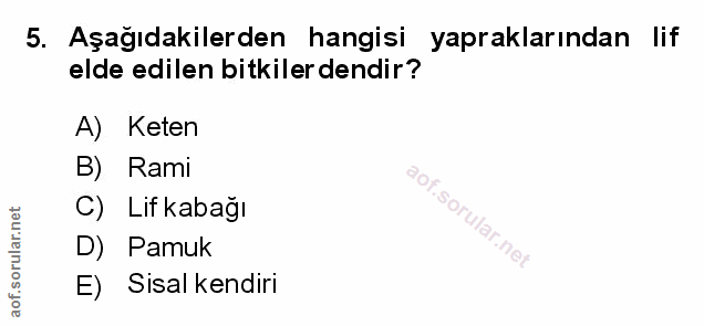 Soru 5