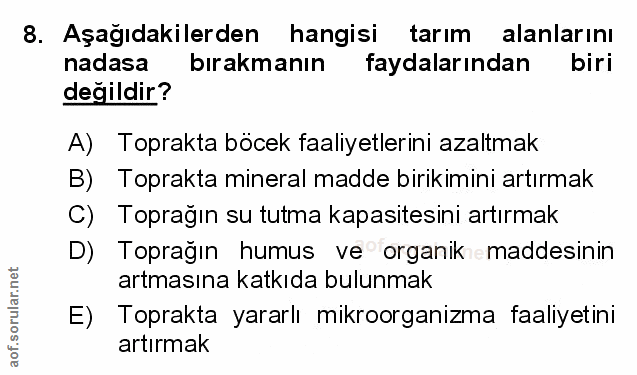 Soru 8