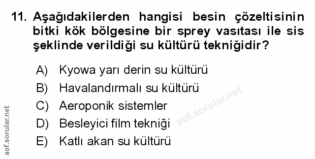 Soru 11
