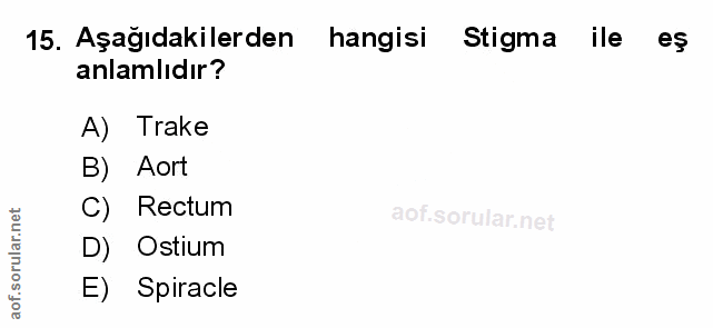 Soru 15