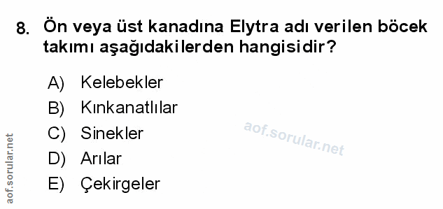 Soru 8