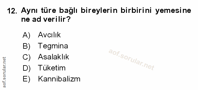 Soru 12