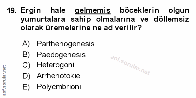 Soru 19
