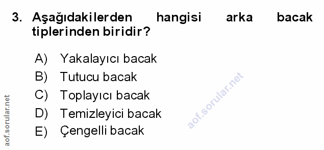 Soru 3