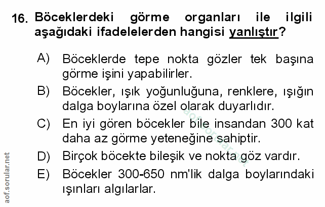 Soru 16
