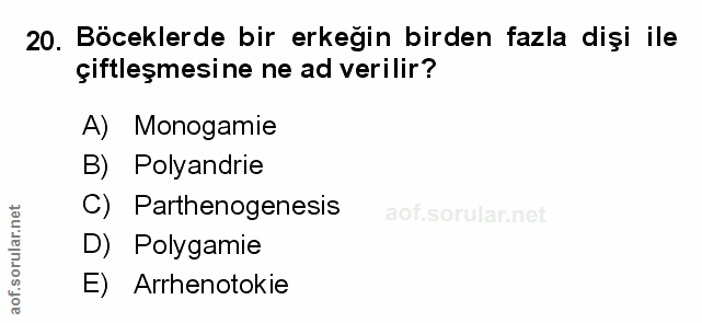 Soru 20