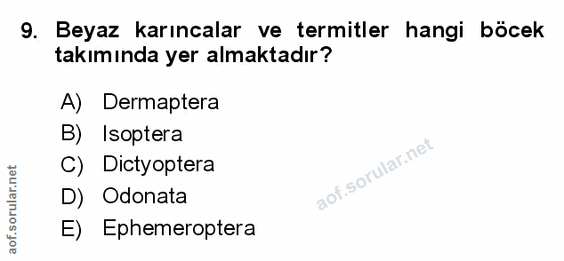 Soru 9