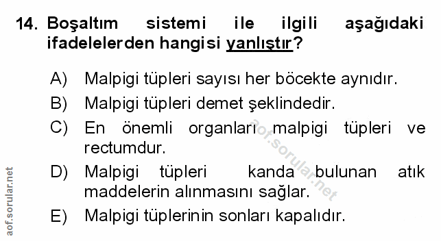 Soru 14