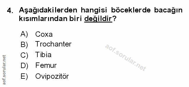 Soru 4