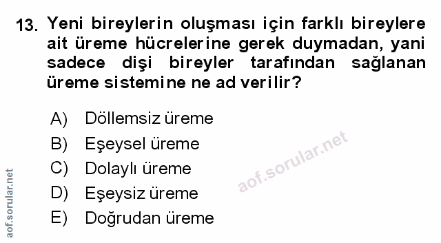 Soru 13
