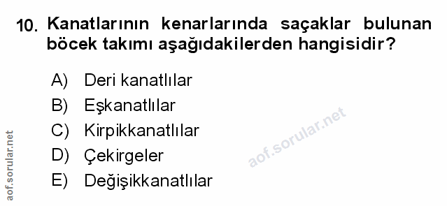 Soru 10