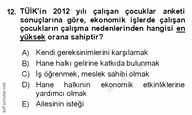Soru 12
