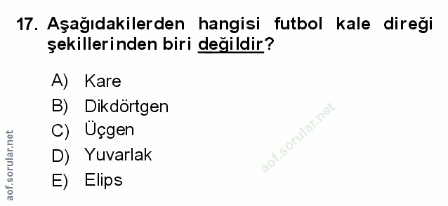 Soru 17