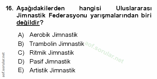 Soru 16
