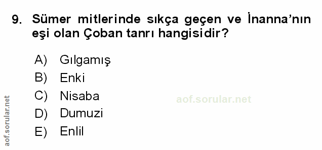 Soru 9