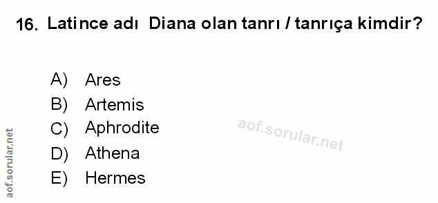 Soru 16