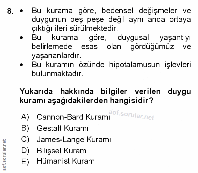 Soru 8