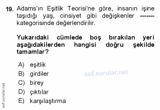 Soru 19