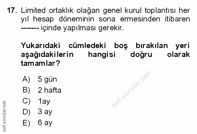 Soru 17
