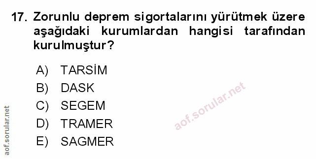 Soru 17