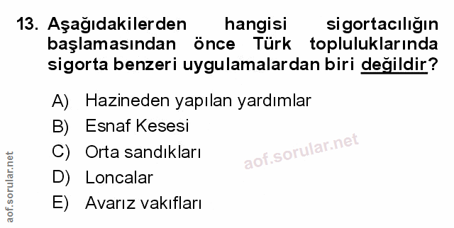 Soru 13