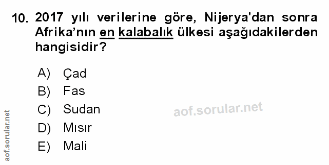 Soru 10