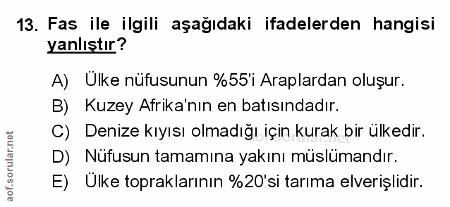 Soru 13