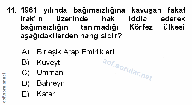 Soru 11