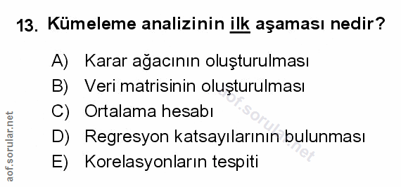 Soru 13