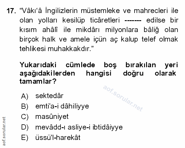 Soru 17