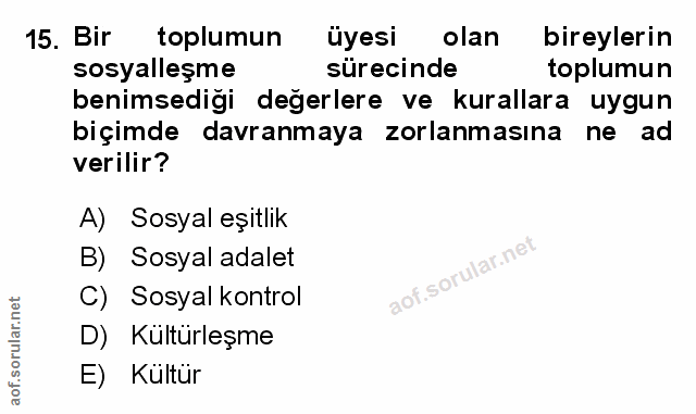 Soru 15