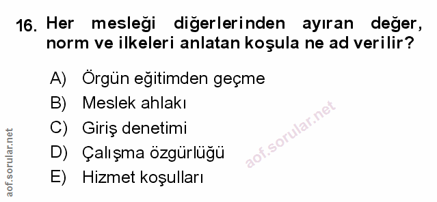 Soru 16
