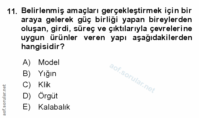 Soru 11