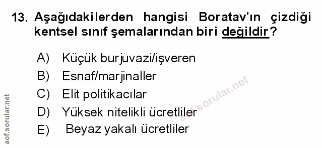 Soru 13