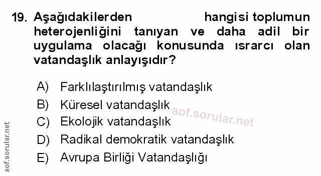 Soru 19