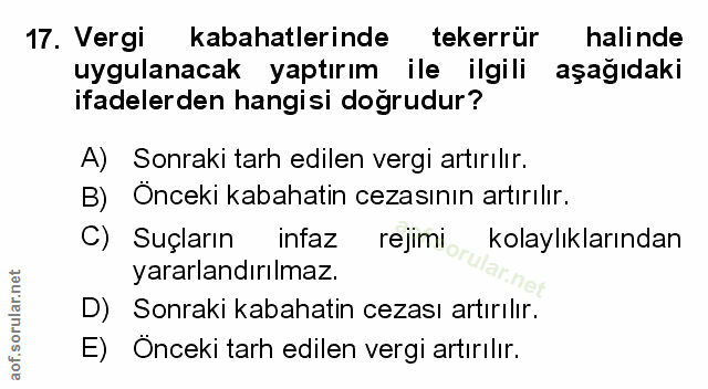 Soru 17