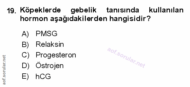 Soru 19