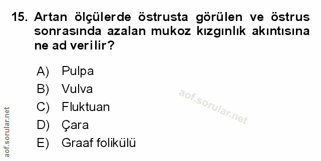 Soru 15
